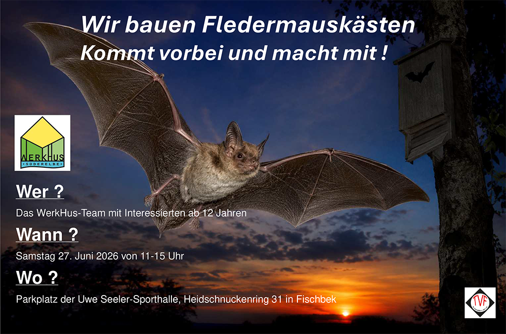 Fledermaus-Workshop-2026